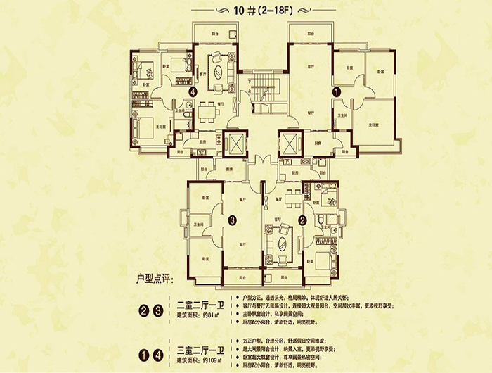 10号楼户型.jpg