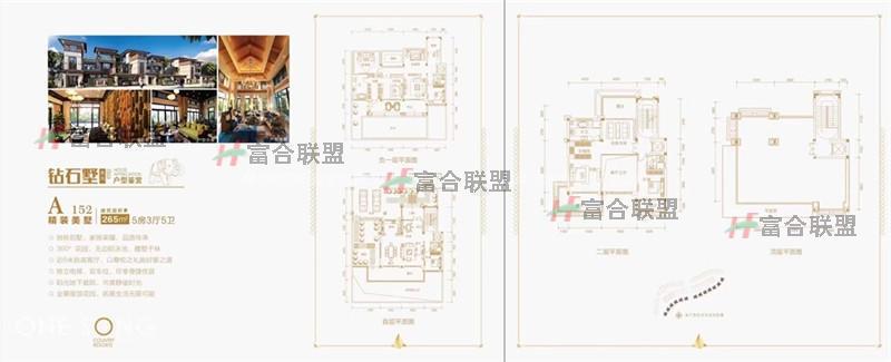 独栋别墅A152户型 5房3厅5卫 265㎡.jpg