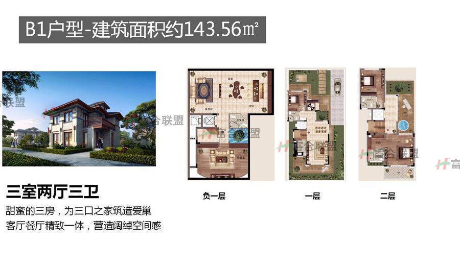 B1户型 3房2厅3卫 143.56平方.jpg