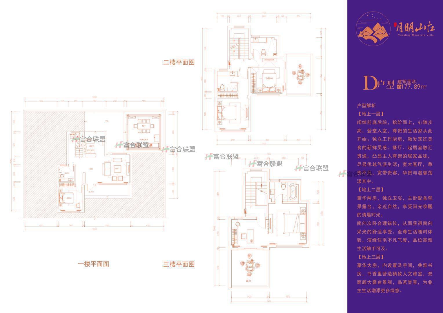 D户型 177.89平.jpg