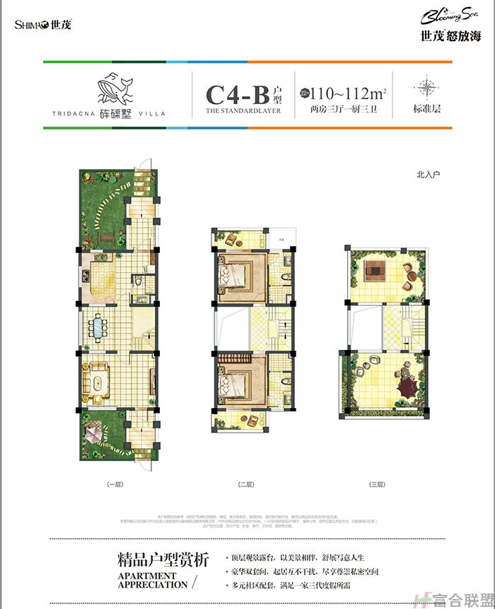 砗磲墅C4-B户型两房三厅110-112㎡.png