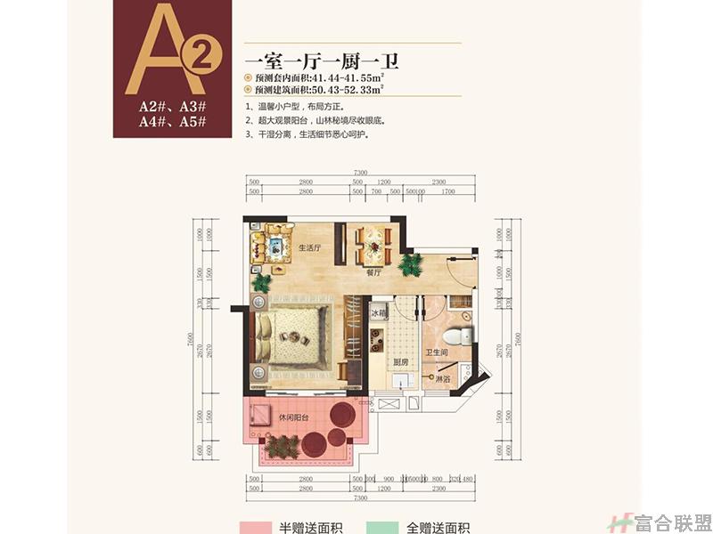 A2户型：一房一厅一厨一卫41m².jpg