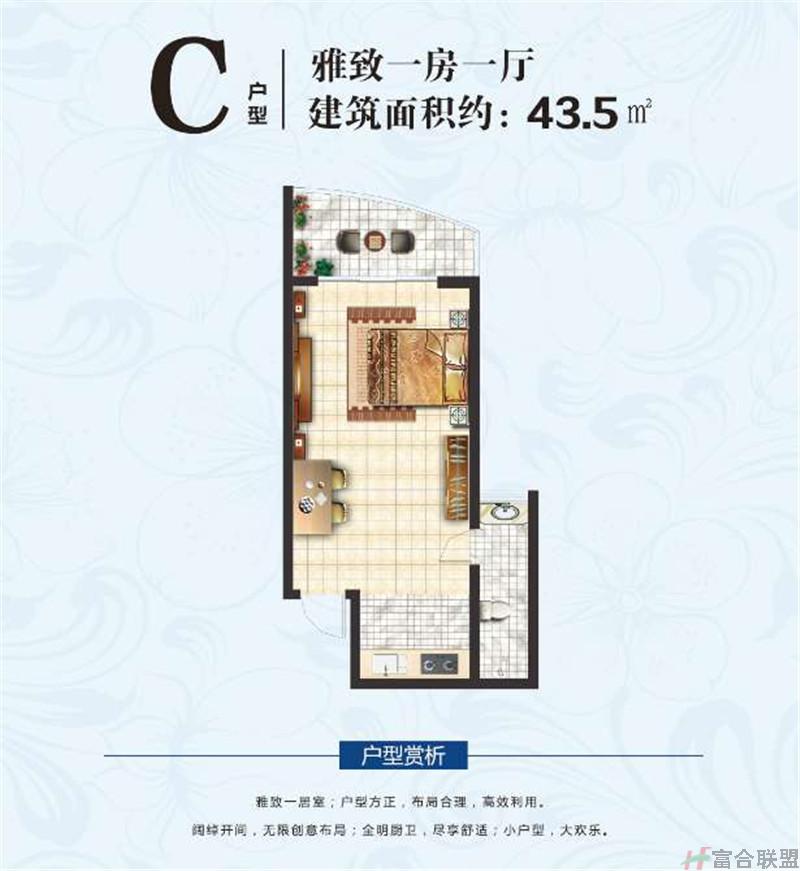 C户型一房一厅 建面43.5㎡.jpg