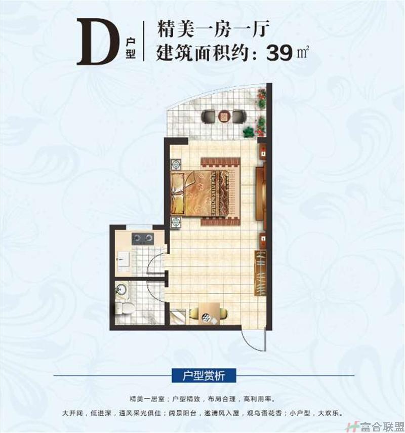 D户型一房一厅 建面39㎡.jpg