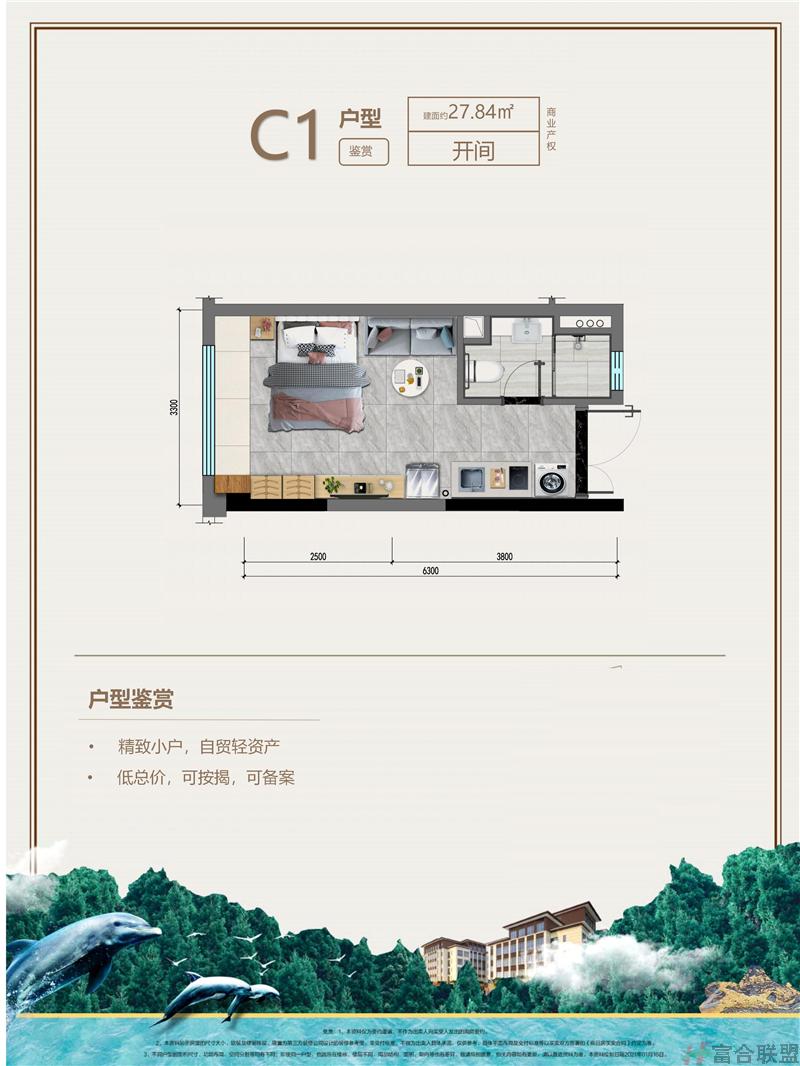 C1户型 开间 建筑面积27 