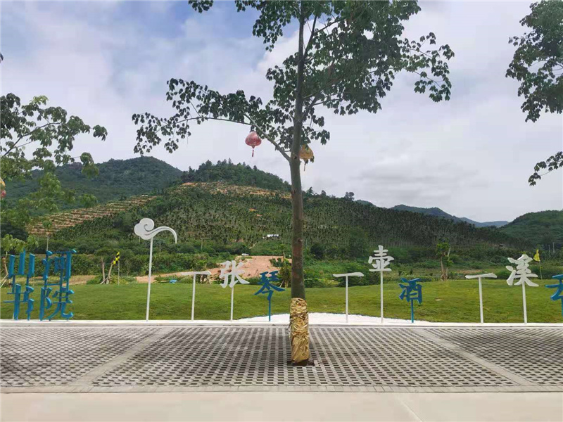实景图4 