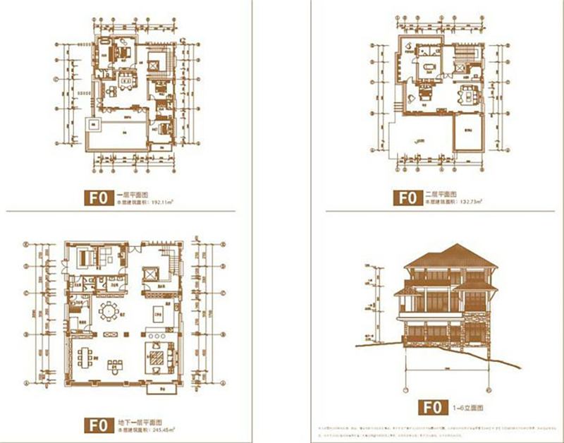 F0户型 别墅 建面545㎡.jpg