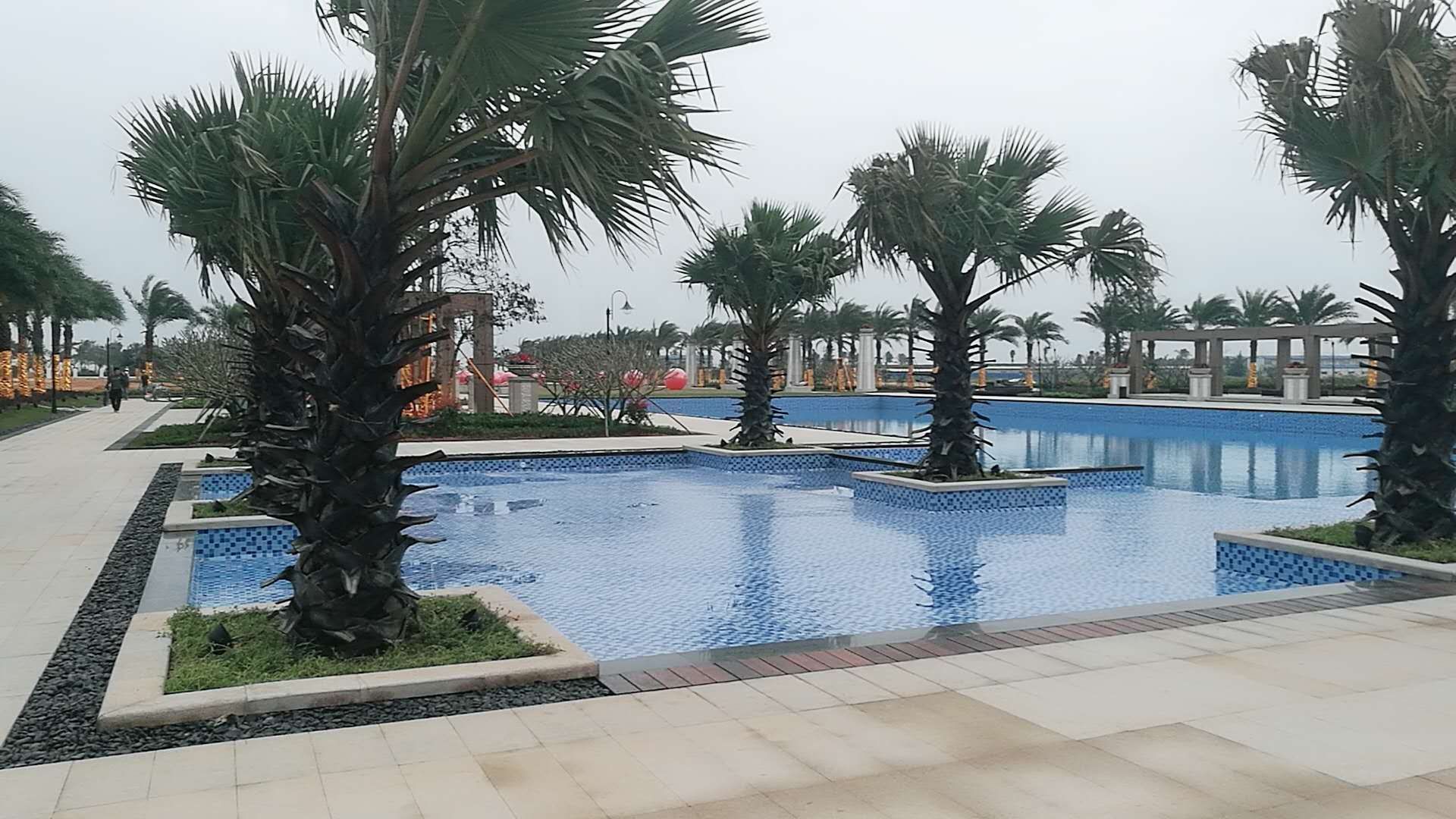 1541044780659462.jpg