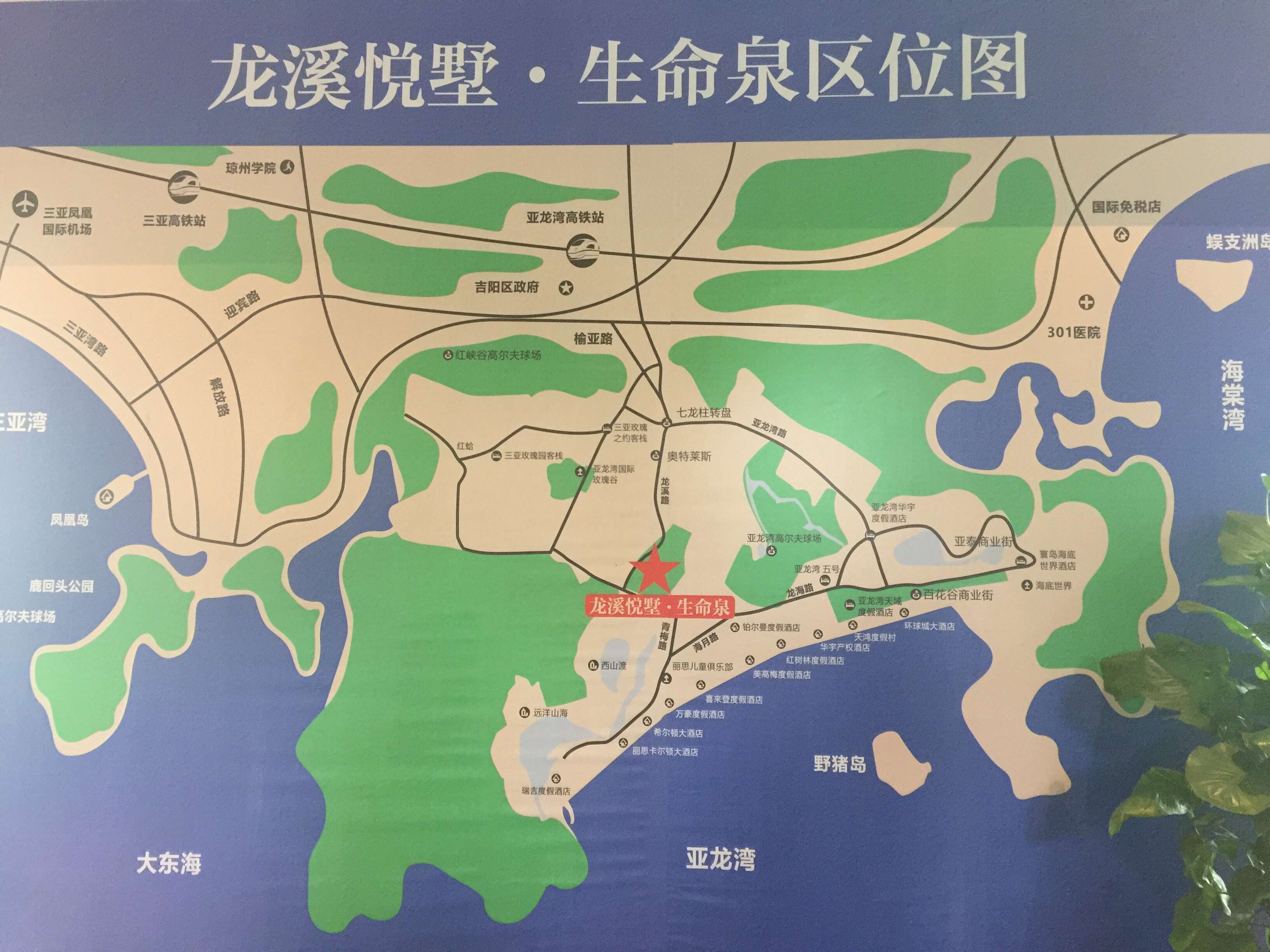 1546246559484376.jpg