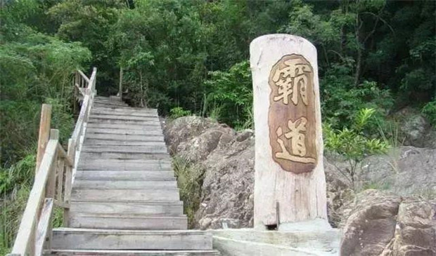 效果图.jpg