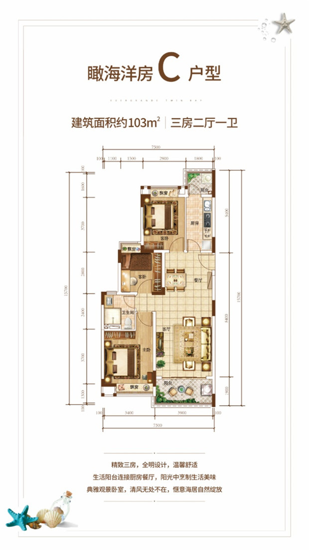 洋房C户型 3房2厅1卫 建筑面积103平米.jpg