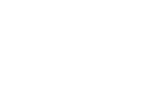 椰林阳光
